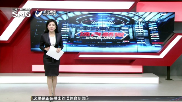 际羽毛球赛